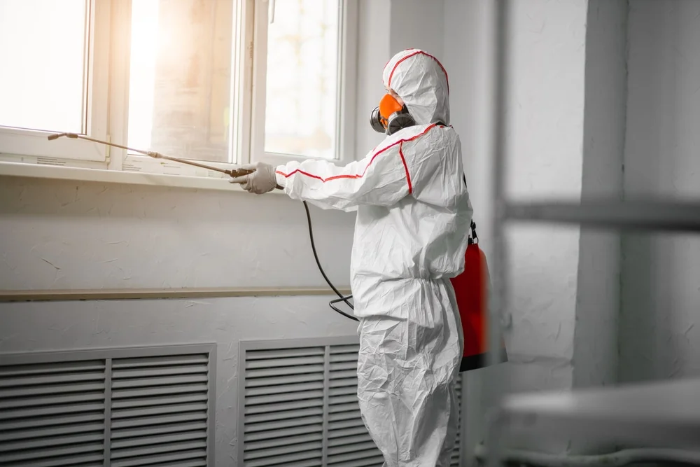 Professional mold remediation services in Reads Landing, MN